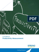 Guidebook Productivity Measurement