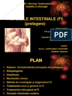 Fistule Intestinale 2