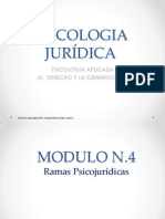 3. Ramas Psicojuridicas