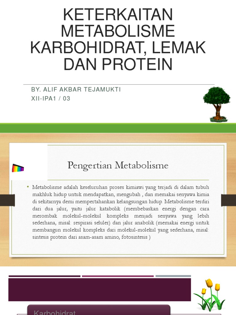 Keterkaitan Metabolisme Karbohidrat Lemak Dan Protein Keterkaitan Metabolisme Karbohidrat Lemak Dan Protein