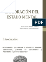 Exploración Del Estado Mental Psiquiatria