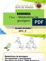 BQ 14 CH Metabolismo de Glucógeno