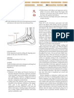 SP 3