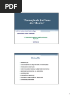 biofilmes