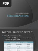 terceiro setor
