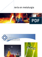 Presentación Ing. en Metalurgia