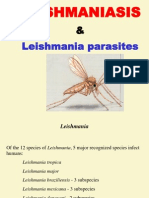 Leishmania