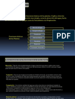 Introduccion Fisiologia Vegetal PDF