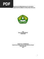 Budidaya Selada makalah Budidaya Selada makalah