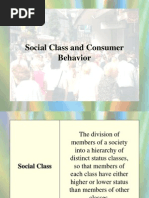 Social Class and Consumer Behavior