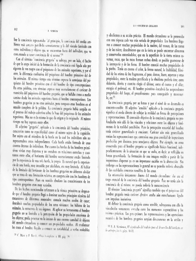 Ruso2 Homo Sapiens Sociedad