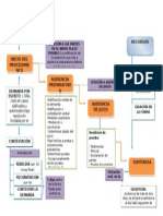 Mapa Conceptual