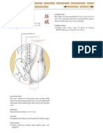 YAOYAN (M-BW-24) : Lumbar Eyes