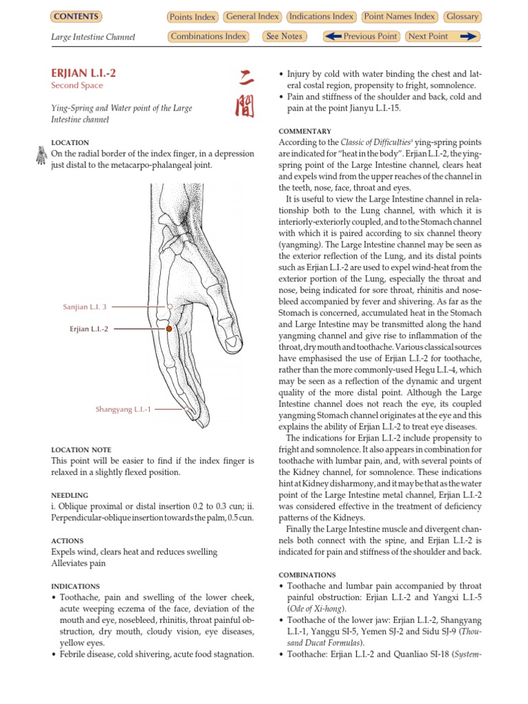 Li 2 | PDF | Anatomical Terms Of Location | Human Anatomy