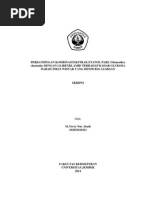 Download Skripsi Upload by Ferry Abadi SN239701838 doc pdf