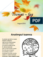 Toamna Fise