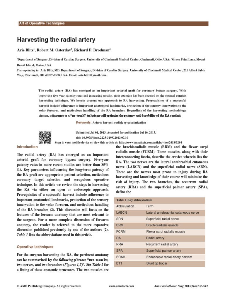 Harvesting The Radial Artery | PDF | Anatomical Terms Of Location ...