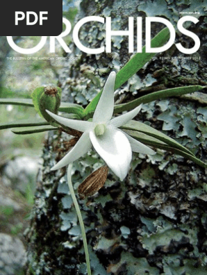 ORCHIDS Magazine September 2013