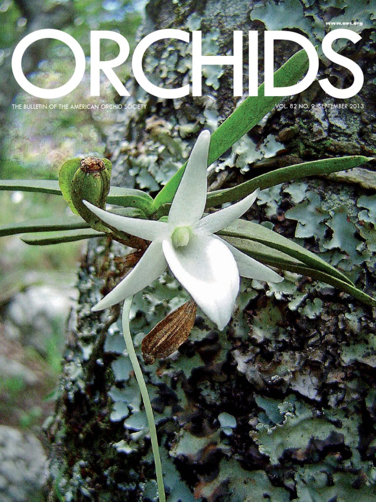 ORCHIDS Magazine September 2013 PDF Insects Mail