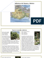 endemicos1.pdf