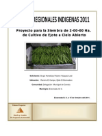 Proyecto Hortalizas Paulino Vazquez Leal-2