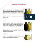 Palta-Peru Variedades RUDDY