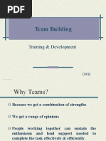 Download Team Building PPT by Delawar Barekzai SN23974028 doc pdf