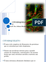 Aula 3_Citoesqueleto Celular.pdf