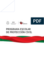 Proteccion Seguridad Escolar