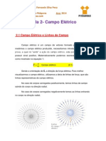 Notas de Aula 2 - Campo Elétrico (Linhas de Força)