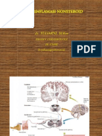 Antiinflamai nonSteroid