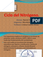 Ciclo Del Nitrógeno