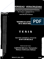 Tesis 0304