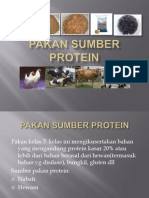 Pakan Sumber Protein