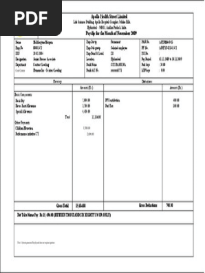 Payslip