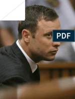 Pistorius Trial Judgement
