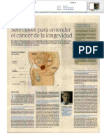 Seis Claves para Entender El Cáncer de Próstata