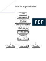 HEMATOLOGIA