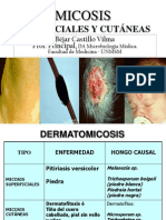 Dermatofitos Enfer. .2013