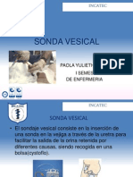 Sonda Vesical - Paola Osuna