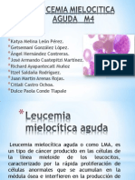 Leucemia M4 Equipo 3