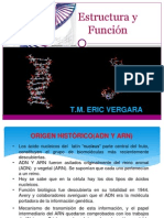 Estructura y Funcion Del Adn-present