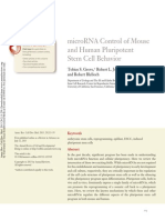 Microrna Control of Mouse and Human Pluripotent Stem Cell Behavior