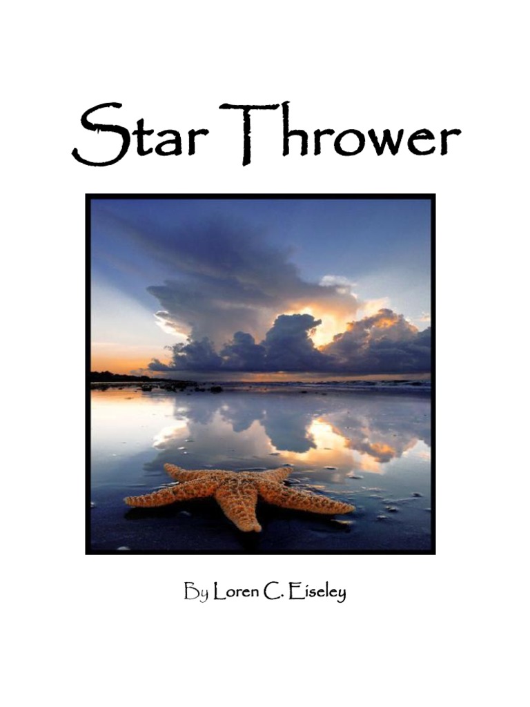 Star Fish Story Book 1 | PDF | Art