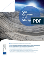 CO2 Capture and Storage PDF