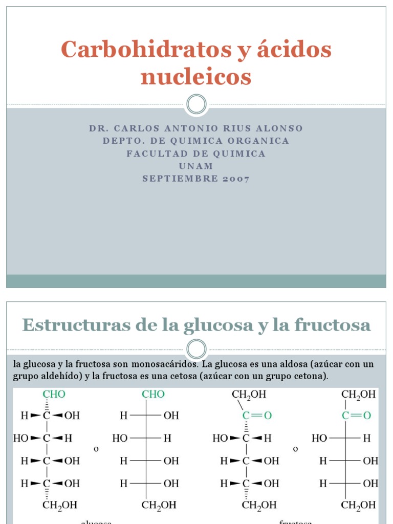 Estructura Del Azucar | PDF | Carbohidratos | Adn