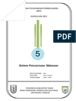 Download RPP KURIKULUM 2013 SMP  IPA KELAS 8 SEMESTER 1  Bab5-Sistem Pencernaan by jidin SN239870140 doc pdf