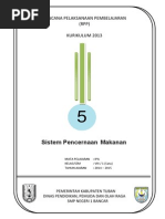 Teknologi Yang Terinspirasi Dari Struktur Jaringan Tumbuhan