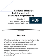 Organizational Behavior:An Introduction to Your Life in Organizations