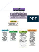 Mapa Conceptual